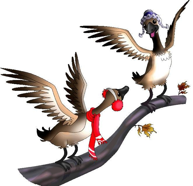 Murals2Go Canadian Geese Wall Decal Cutouts