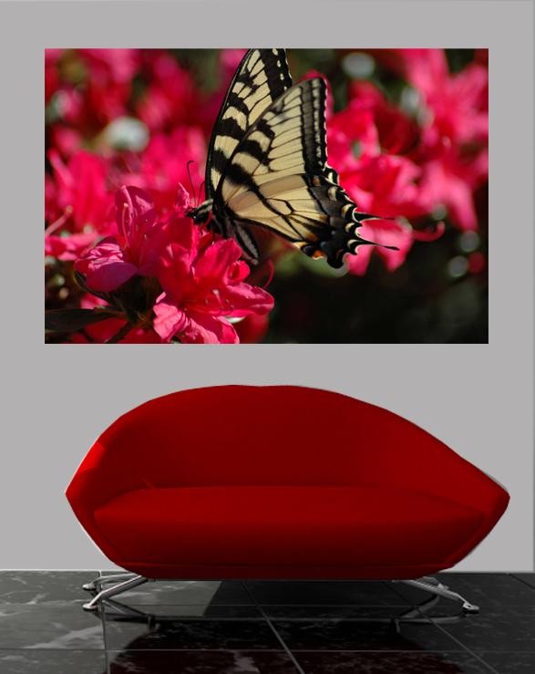 Guernsey Butterfly I Glossy Poster