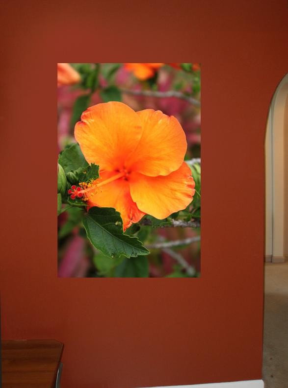 Howard Orange Flower Glossy Poster