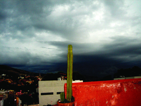 Warren Mexico V Glossy Poster