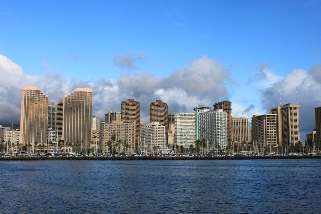 Howard Honolulu Wall Decal