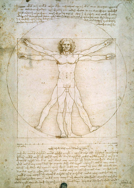 da Vinci "The Proportions of the Human Figure" (1492) Glossy Poster