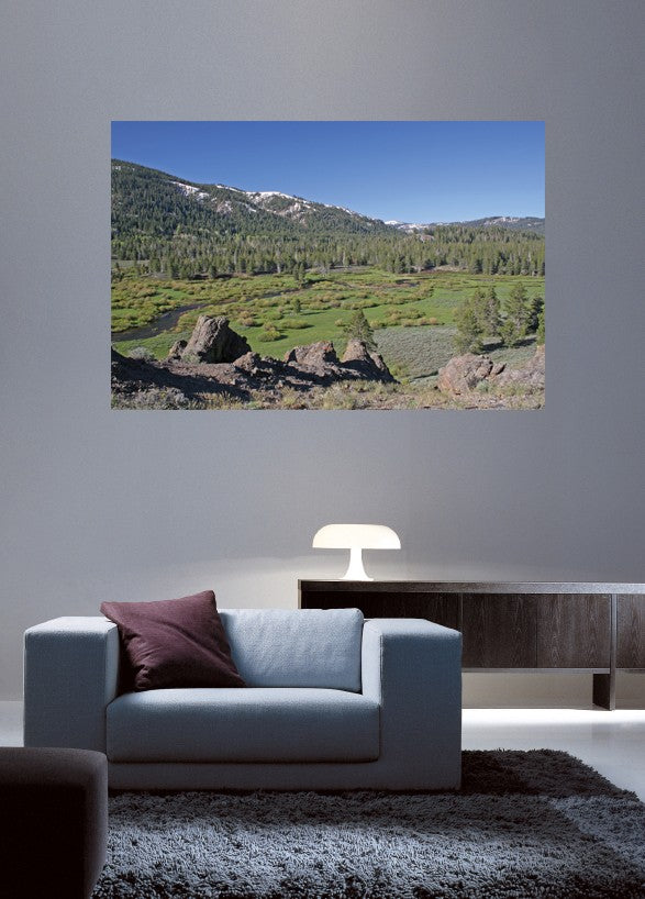 Hogan Mountain VII Wall Decal