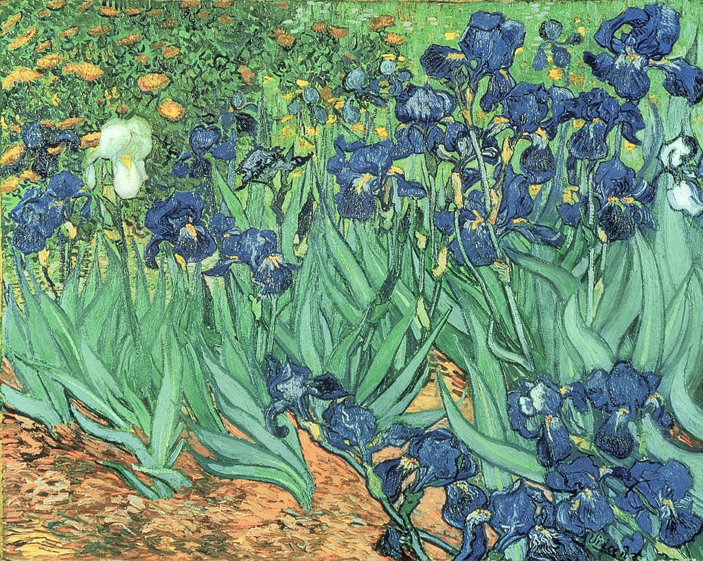 van Gogh "Irises" (1889) Glossy Poster