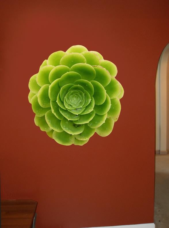 Hollis Green Echeverria Wall Decal Cutout