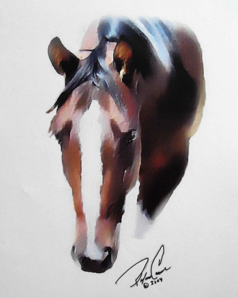 Tymeless Wonders Pinto Mare Glossy Poster