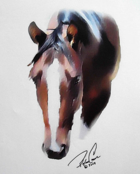 Tymeless Wonders Pinto Mare Glossy Poster