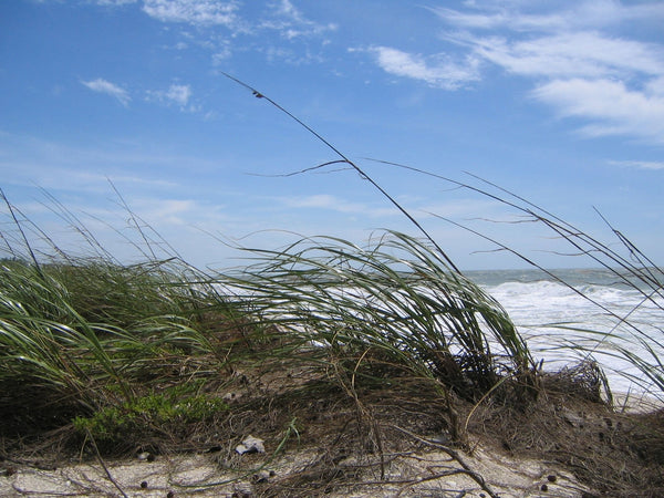 Kraft "Storm Coming" Wall Decal