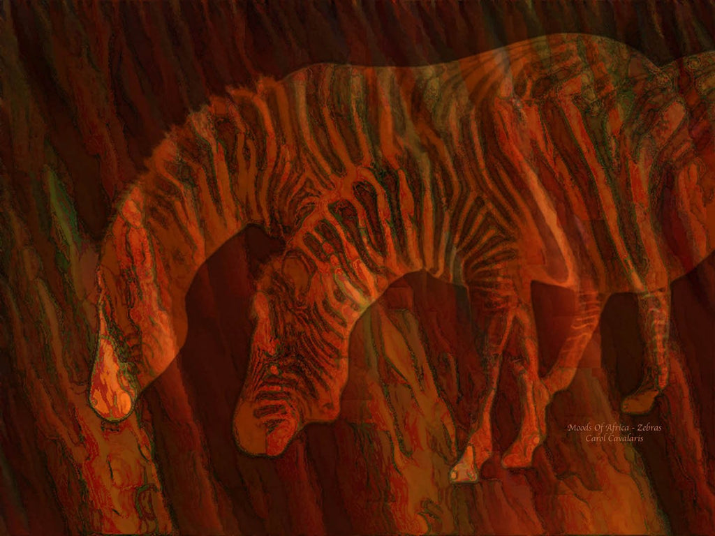 Cavalaris "Moods Of Africa - Zebras" Glossy Poster