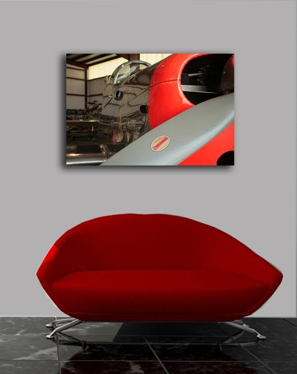 Daylily Dreams Airplane Canvas Installed