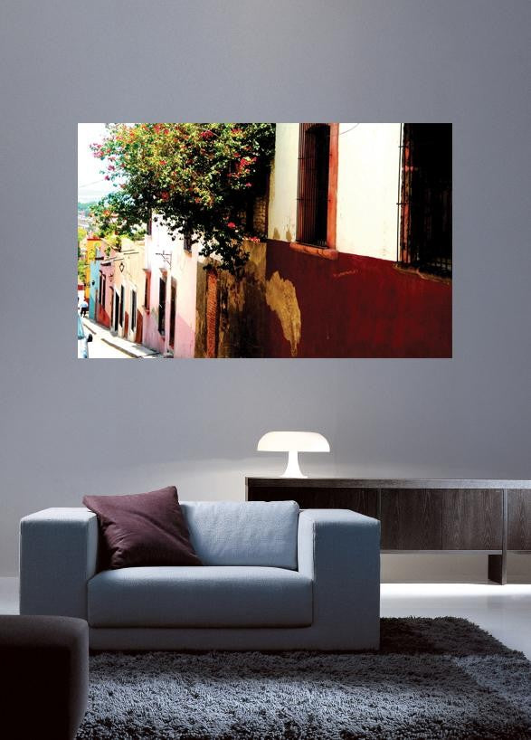 Warren Mexico IX Glossy Poster