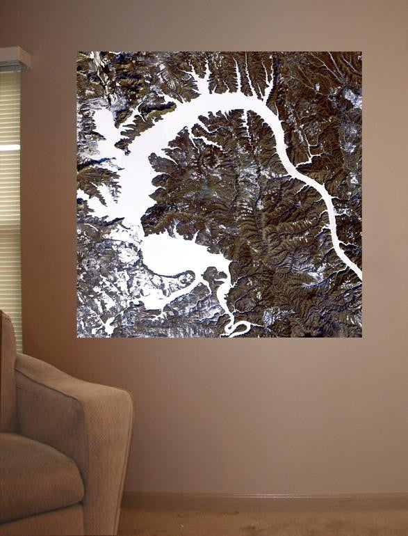 Buell Dragon Wall Decal