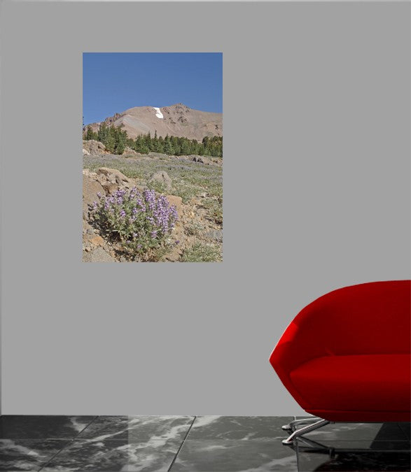 Hogan Mountain I Wall Decal