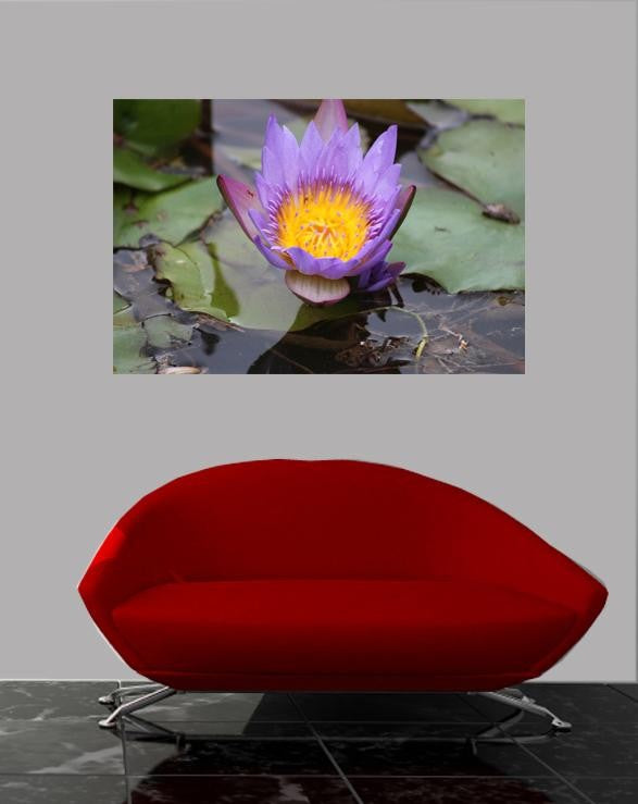 Howard Purple Pond Bloom Wall Decal