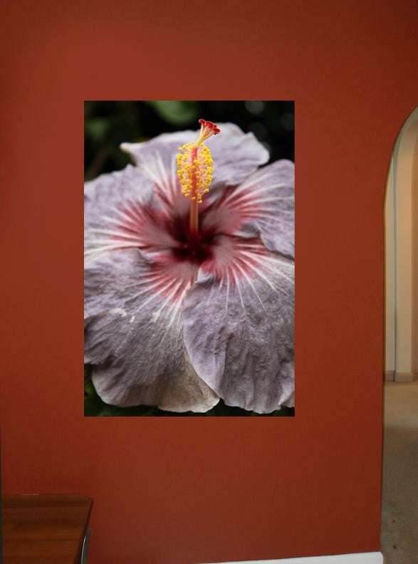 Howard Purple Bloom Glossy Poster