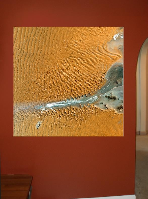 Buell Namib Wall Decal