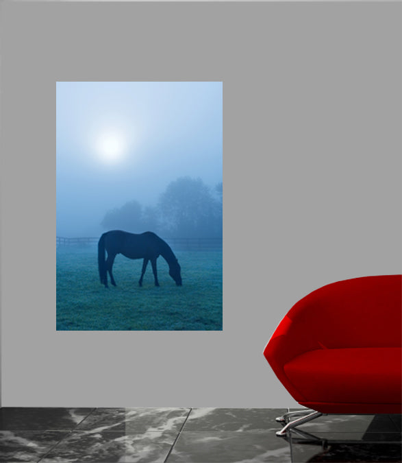Morning Mist Horse Wall Decal Poster Installed