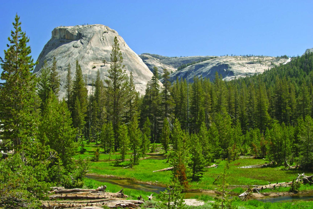 Hogan Mountain II Wall Decal