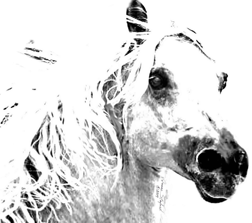 Tymeless Wonders Horse I Wall Decal