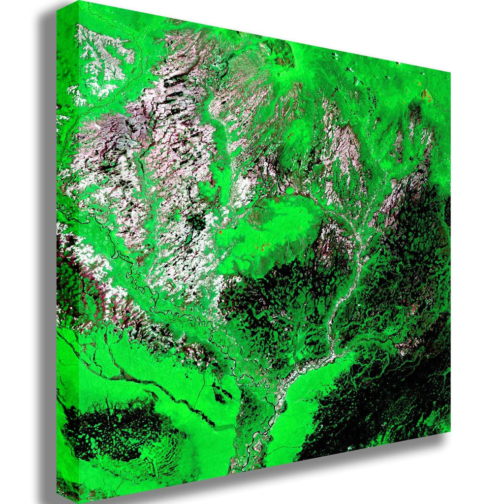 Buell Araca Canvas Printed