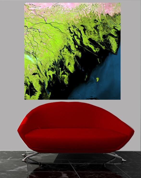 Buell Volga Delta Wall Decal