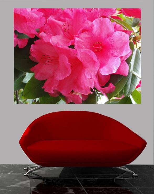 Sumerlin "Passion" Glossy Poster