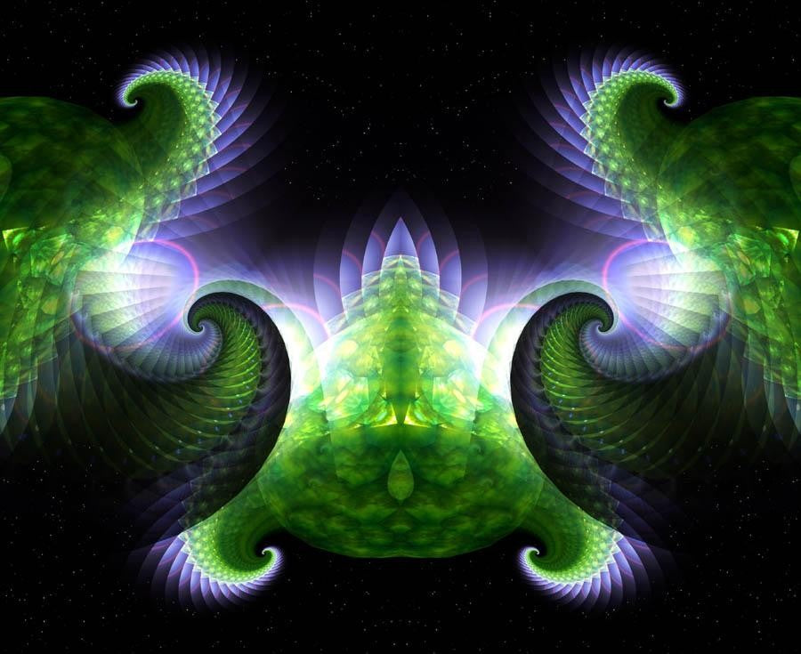 Xzendor7 "Spiral Space Shells II" Wall Decal