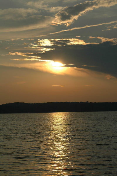 Guernsey Sunset I Wall Decal