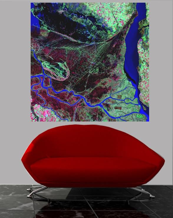 Buell Parana River Delta Wall Decal