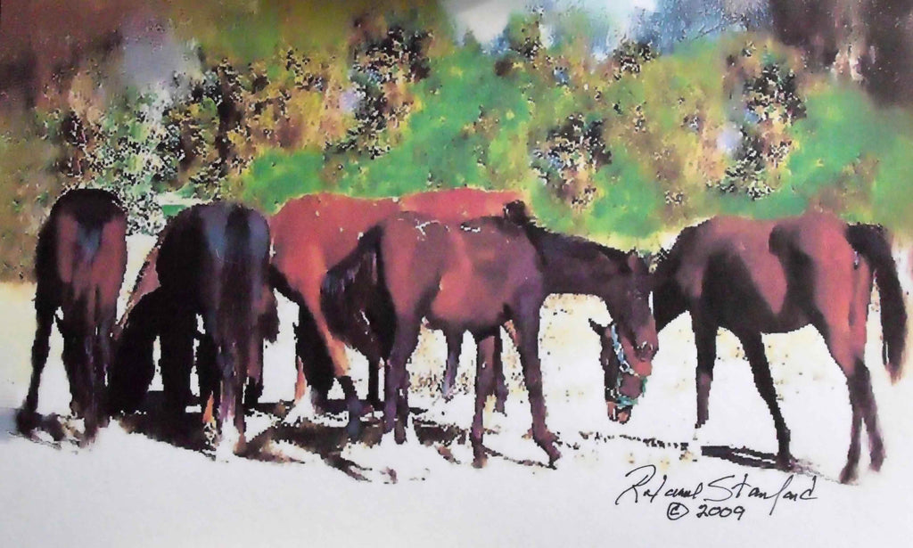 Tymeless Wonders Mustangs - I Glossy Poster