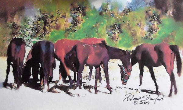 Tymeless Wonders Mustangs - I Glossy Poster