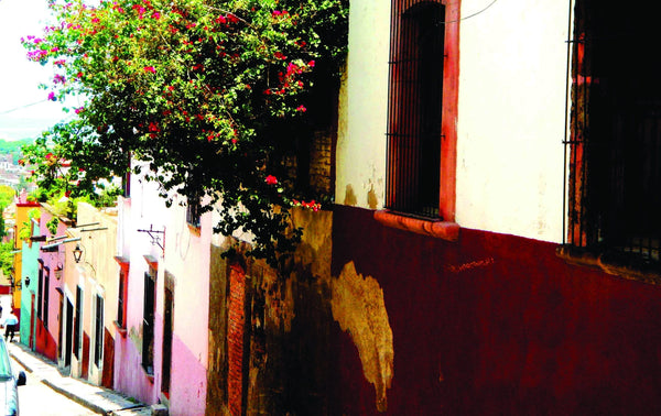 Warren Mexico IX Glossy Poster