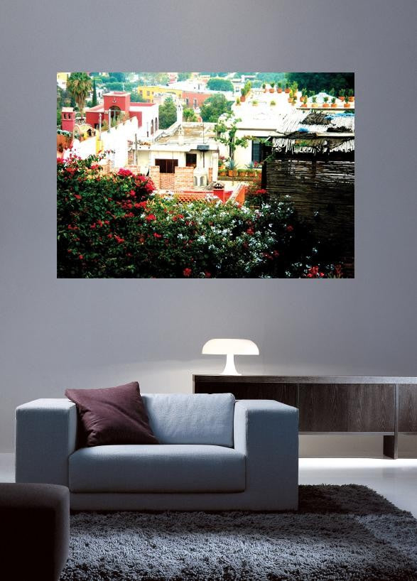 Warren Mexico XIV Wall Decal