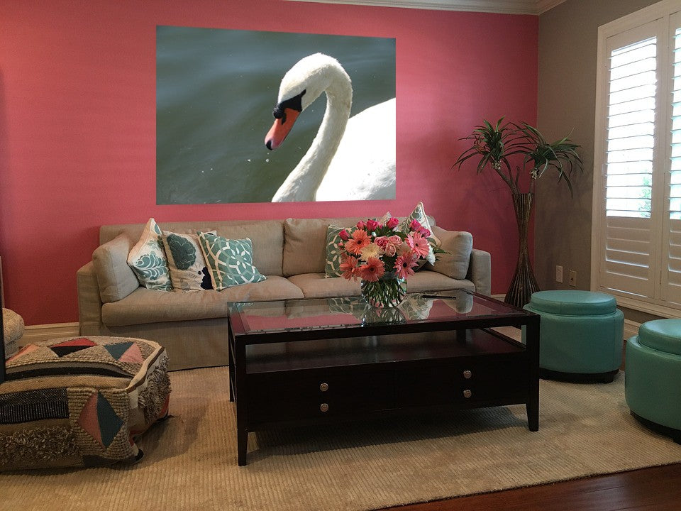 Viar Swan Wall Decal