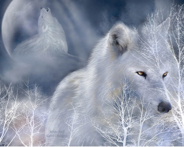 Cavalaris "White Wolf" Glossy Poster