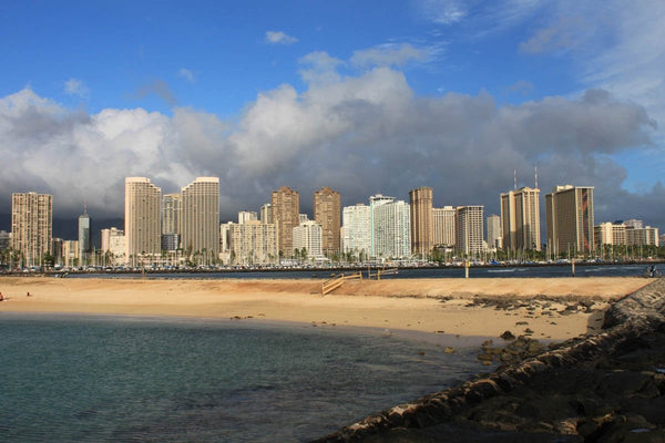 Howard Ala Moana Wall Decal