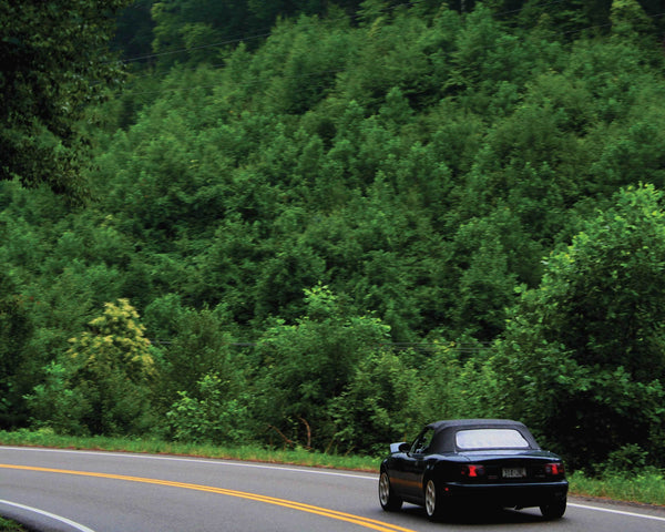 Shaffer Road Trip Glossy Poster