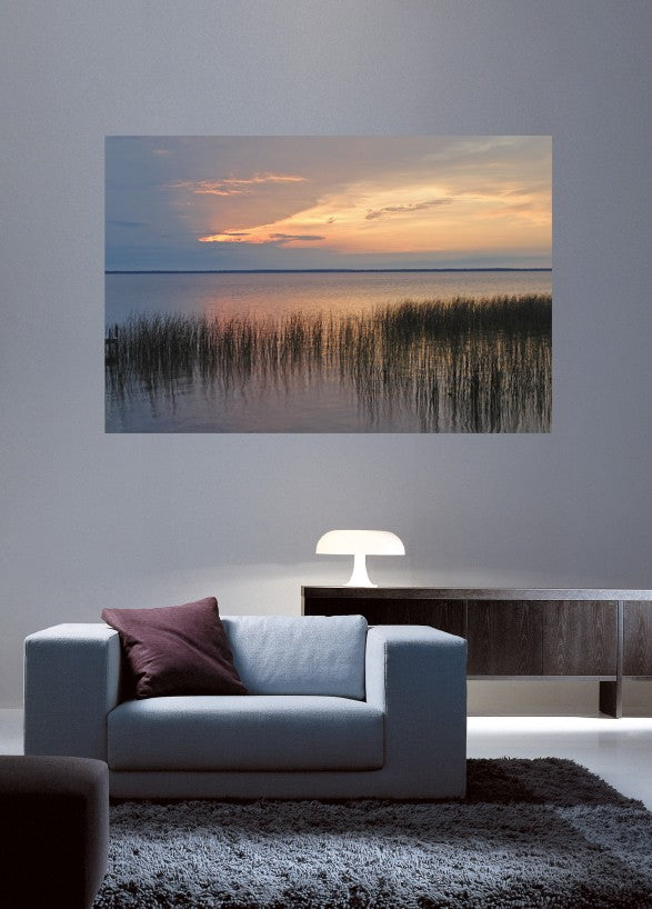 Hogan Lake I Wall Decal