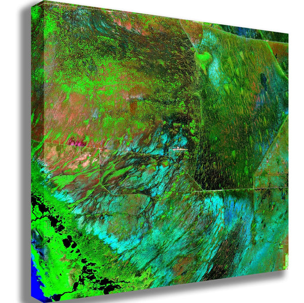 Buell Everglades Canvas Printed