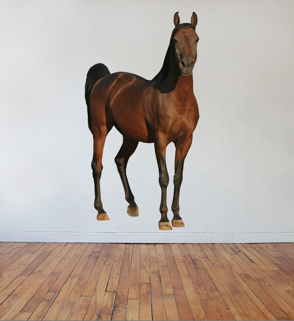 Horse Wall Decal Cutout Installed
