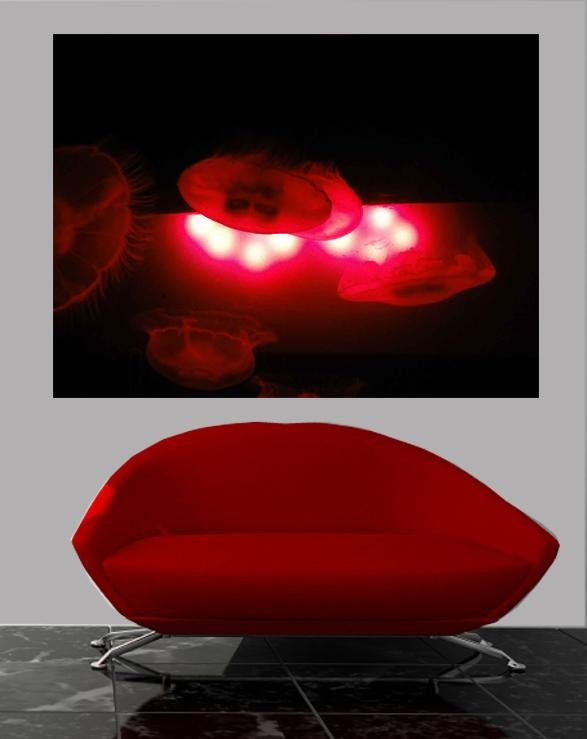 Sumerlin Jellyfish Glossy Poster