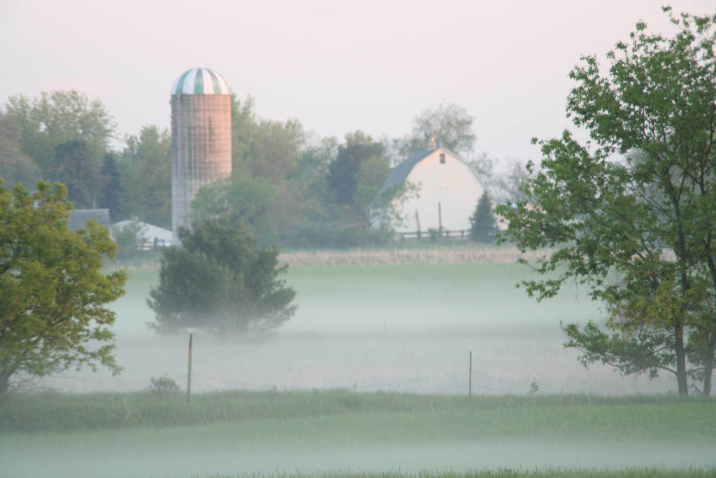 Reimer Landscape II Glossy Poster