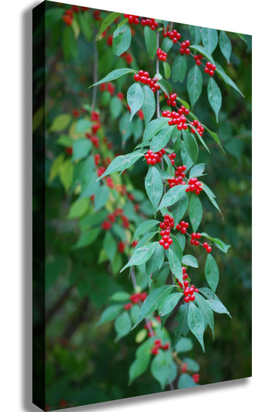 Clark Berries Canvas Printed
