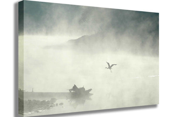 Guernsey Mist II Canvas Printed