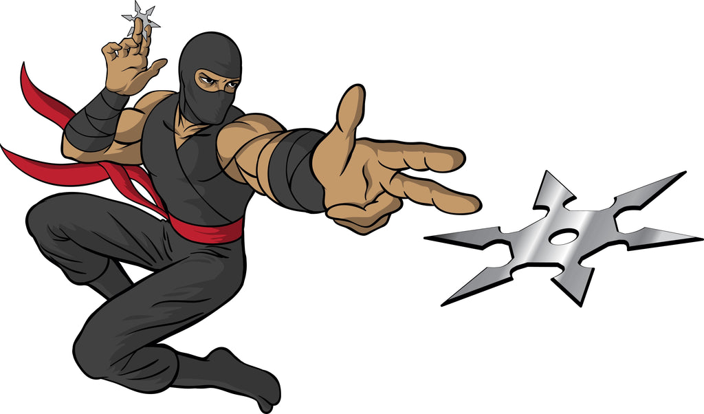 Winn Ninja Shuriken Wall Decal Cutout
