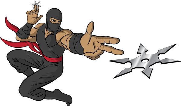 Winn Ninja Shuriken Wall Decal Cutout