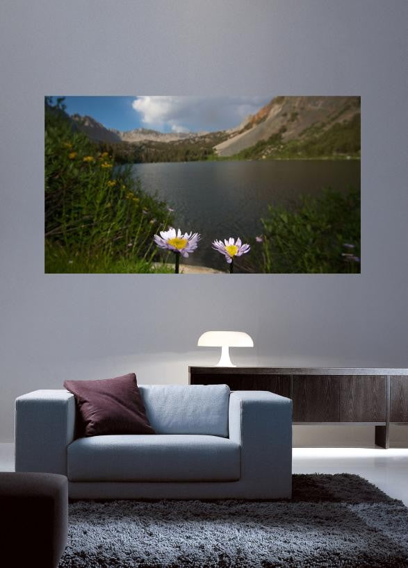 DeWitt Flower II Wall Decal