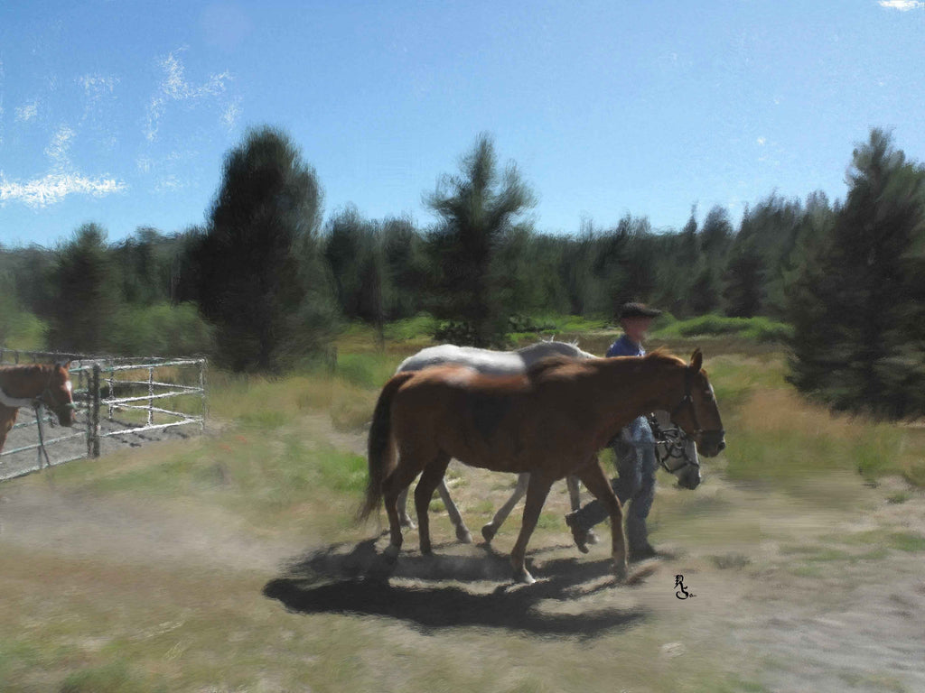 Tymeless Wonders "The Way Home" Glossy Poster