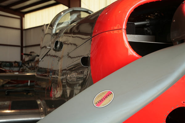 Daylily Dreams Airplane Wall Decal