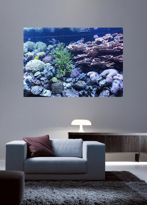 Sumerlin Sea Coral II Wall Decal